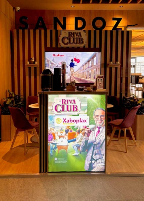 Stolička Linares (SET 4 ks) - zamat, drevené nohy natura - Fialová