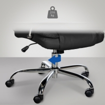 CP-19616601